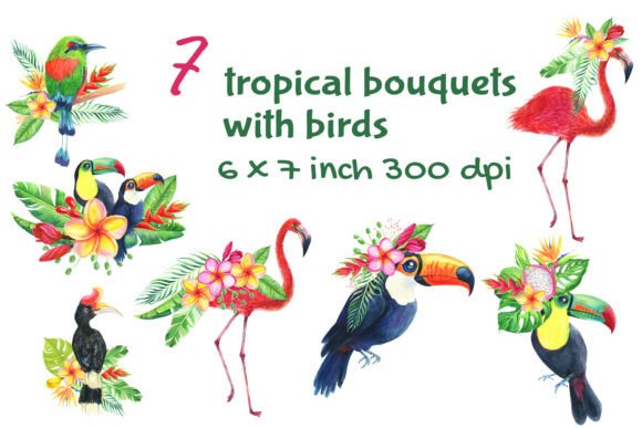 Birds Tropical Watercolor Bird Colorful Illustrations