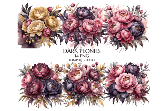Dark Peony Watercolor Clipart for Illustrations