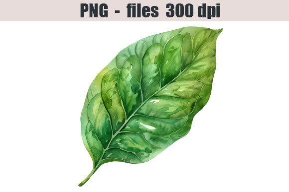 Leaf Watercolor Clipart: Illustrations for Branding