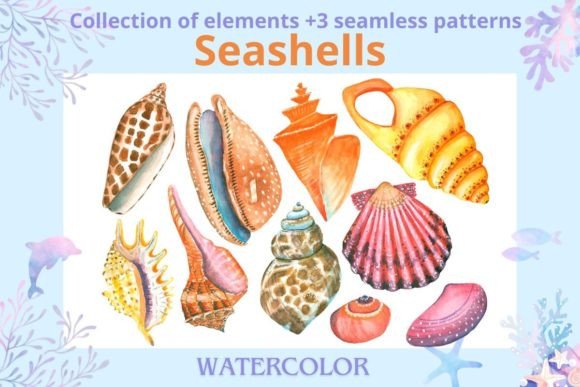 Sea Shells Watercolor Illustrations for Digital Products