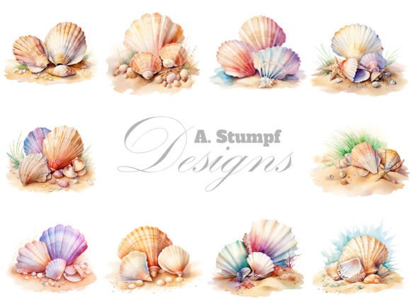 Seashells on Sand Watercolor Clipart Set Illustrations