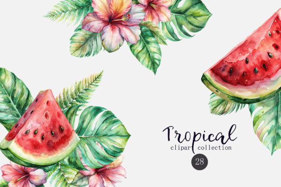 Tropical Summer Watercolor Set: Illustrations for Branding