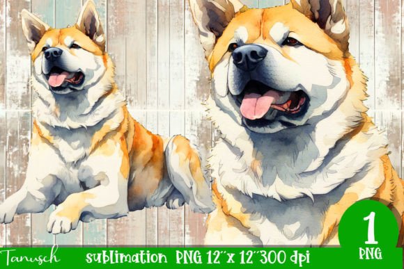 Watercolor Akita Sublimation PNG for Illustrations