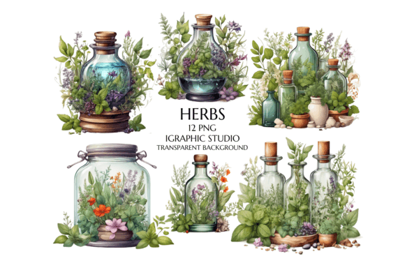 Watercolor Bottle and Herbs Clipart Review