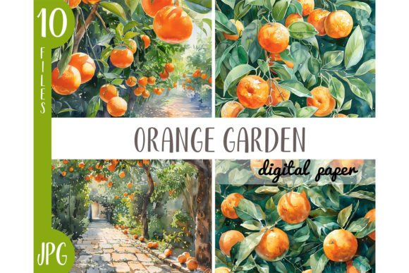 Watercolor Orange Garden Illustrations for Branding