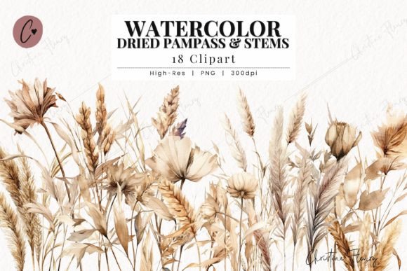 Watercolor Pampas Grass Clipart Illustrations Review
