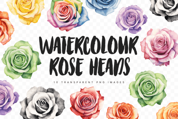 Watercolour Rose Head Illustrations for Editorial Design